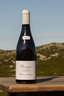 2015 Domaine Etienne Sauzet Bourgogne Blanc 0,75l