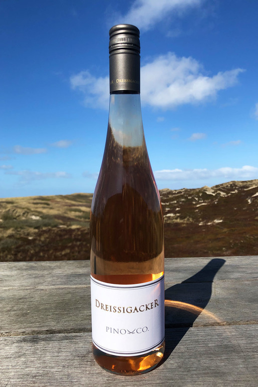 2018 Dreissigacker Pino & Co Rosé "only Sansibar" 0,75l