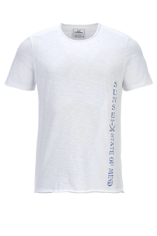 Herren T-Shirt STAR , WHITE, XL 