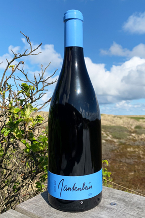 2019 Gantenbein Pinot Noir 0,75l
