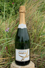 Champagne Chassenay D'Arce 