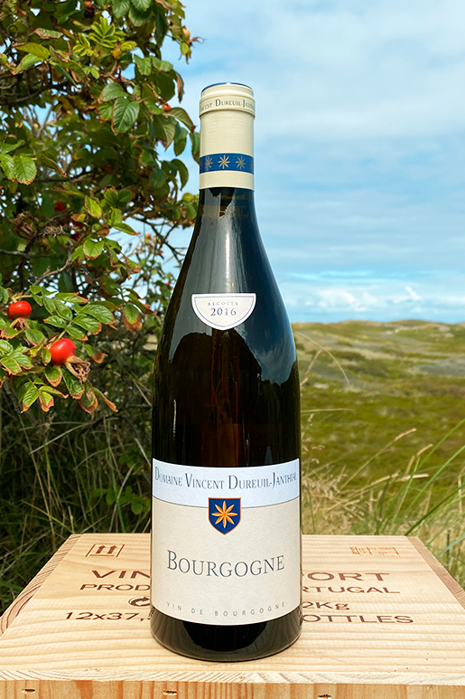 2016 Vincent Dureuil-Janthial Bourgogne Blanc 0,75l 