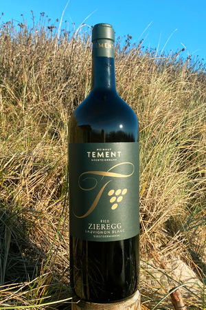 2019 Tement Morillon Ried Zieregg Chardonnay 5,0l 