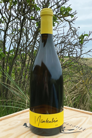 2020 Gantenbein Chardonnay 0,75l 