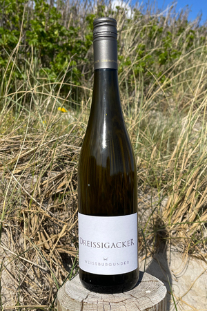 2021 Dreissigacker Weissweincuvee Chardonnay & Weissburgunder "only Sansibar" 0,75l 
