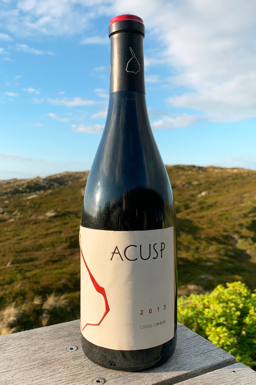 2013er Encus Acusp Pinot Noir 13,5 %Vol 0,75Ltr 