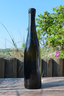 2010er Dr. Bürklin-Wolf Pinot Noir S 13,0 %Vol 0,75Ltr