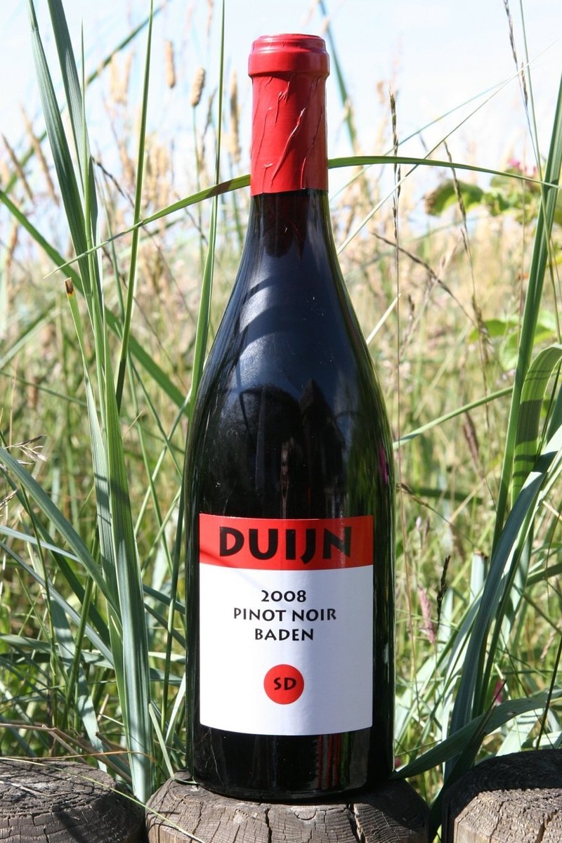 2008er Weingut Duijn Pinot Noir SD 0,75Ltr
