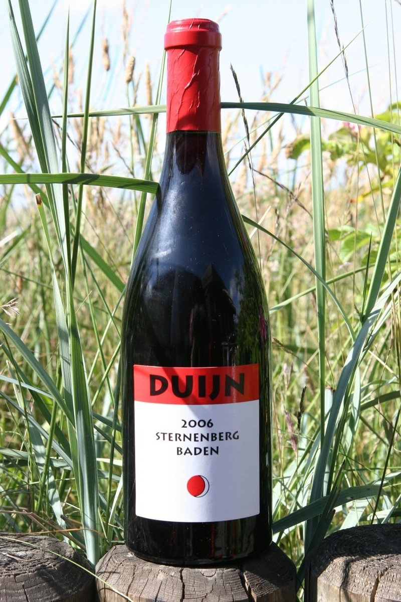 2006er Weingut Duijn Pinot Noir Sternenberg Jannin