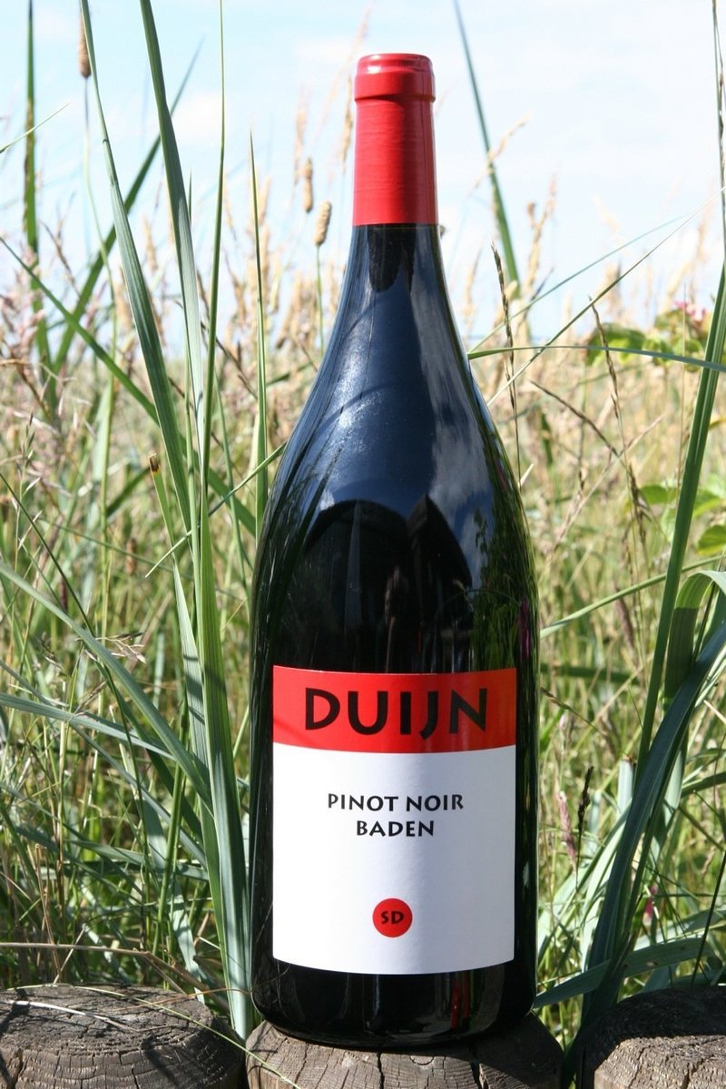 2007er Weingut Duijn 1,5 Pinot Noir SD