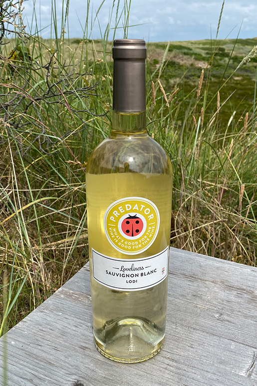2021 Predator Sauvignon Blanc 0,75l 2021 Predator Sauvignon Blanc 0,75l