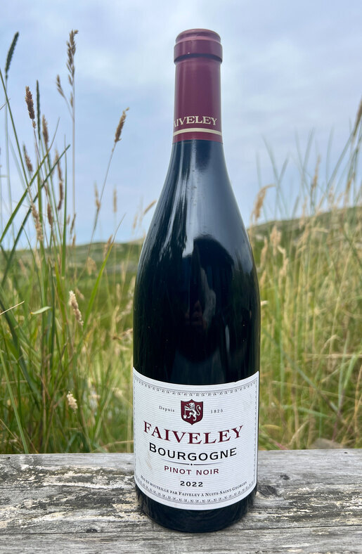 2022 Domaine Faiveley Pinot Noir Bourgogne 0,75l 2022 Domaine Faiveley Pinot Noir Bourgogne 0,75l