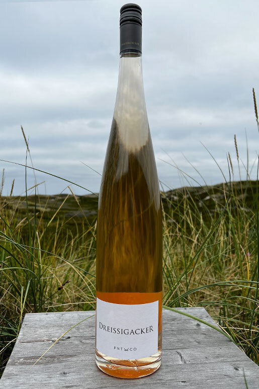 2022 Dreissigacker Pino & Co Rosé "only Sansibar" 1,5l 2022 Dreissigacker Pino & Co Rosé "only Sansibar" 1,5l