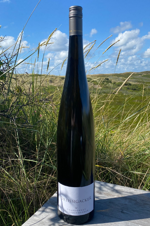 2022 Dreissigacker WW-Cuvee Chardonnay & Weissburgunder "only Sansibar" 1,5l 2022 Dreissigacker WW-Cuvee Chardonnay & Weissburgunder "only Sansibar" 1,5l