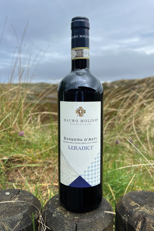 2023 Mauro Molino Barbera D'Asti 0,75l 2023 Mauro Molino Barbera D'Asti 0,75l