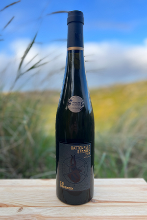2019er Battenfeld-Spanier Riesling C.O. Steinlinden "Liquid Earth" 2019er Battenfeld-Spanier Riesling C.O. Steinlinden "Liquid Earth"