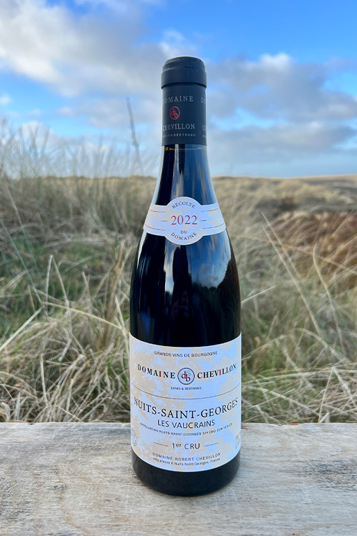 2022 Chevillon Nuits St. Georges "Les Vaucrains" 1er Cru Pinot Noir 0,75l 2022 Chevillon Nuits St. Georges "Les Vaucrains" 1er Cru Pinot Noir 0,75l