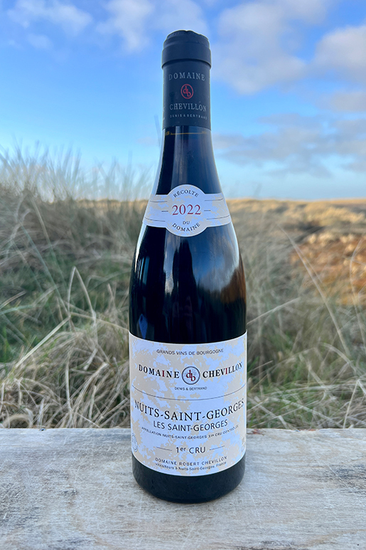 2022 Chevillon Nuits St. Georges 1er Cru Pinot Noir 0,75l 2022 Chevillon Nuits St. Georges 1er Cru Pinot Noir 0,75l