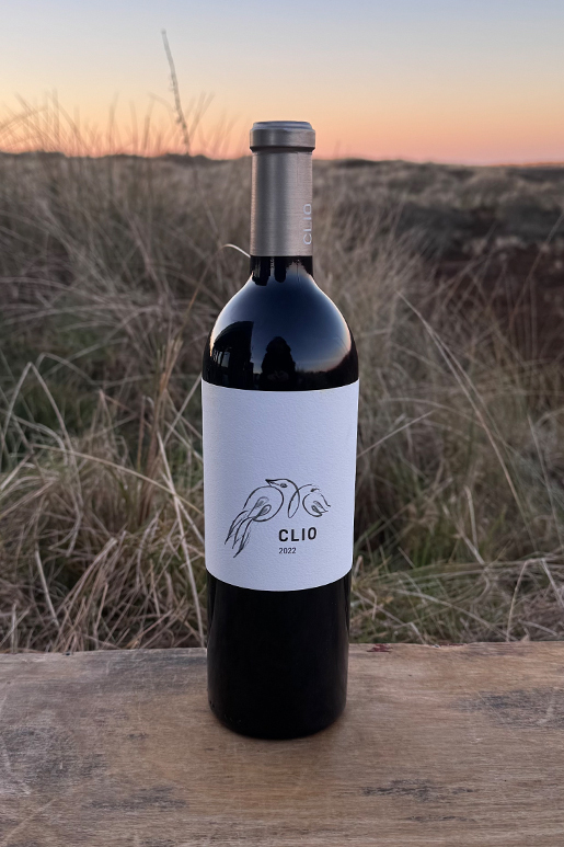 2022 Bodegas El Nido CLIO Jumilla D.O.P. 0,75l 2022 Bodegas El Nido CLIO Jumilla D.O.P. 0,75l