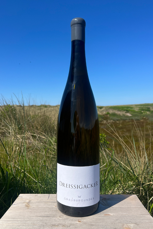 2024 Dreissigacker Grauburgunder "only Sansibar" 3,0l 2024 Dreissigacker Grauburgunder "only Sansibar" 3,0l