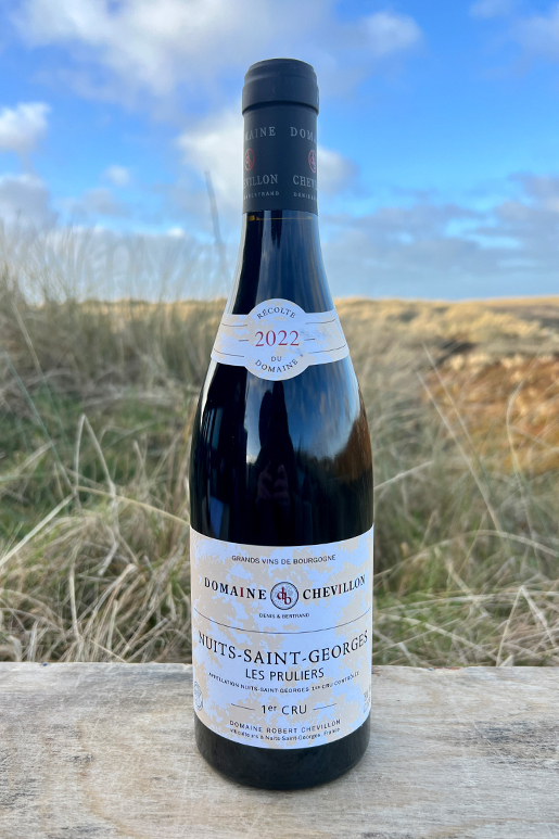2022 Chevillon Nuits St. Georges Pruliers 1er Cru Pinot Noir 0,75l 2022 Chevillon Nuits St. Georges Pruliers 1er Cru Pinot Noir 0,75l