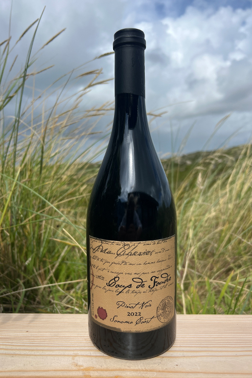 2022 Coup de Foudre Pinot Noir 0,75l 2022 Coup de Foudre Pinot Noir 0,75l