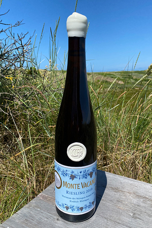 2019 Weil Monte Vacano Riesling 0,75l 